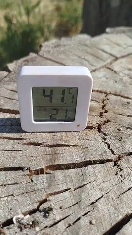 A small, white digital thermometer-hygrometer is placed on a weathered, rough-textured wooden surface, likely a tree stump or log. The device displays two readings: the top number, "41.1," is accompanied by a degree symbol and "C," indicating 41.1 degrees Celsius. Below this, "21%" is displayed, representing 21 percent humidity, along with a symbol that appears to signify "DRY." The background is softly blurred, showing green foliage and hints of sunlight, suggesting an outdoor setting on a clear, sunny day. The lighting and the dry appearance of the wood suggest warm and dry conditions. The overall mood is one of observation and data collection in a natural environment.