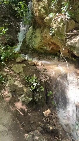 This is a video of a small waterfall in a natural setting. The waterfall is surrounded by rocks, dirt, and lush green foliage, including ivy. The water is clear and appears to be flowing over a series of rocky ledges. The sun is shining, casting dappled shadows on the ground, suggesting it is daytime. The overall mood is peaceful and serene, evoking the tranquility of a natural landscape. There is no visible text in the video. The location is identified as Nuévalos, Spain.