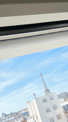 Paris witnesses capture luxury cars, selfies, fresh tattoos Monday morning