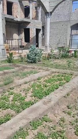 A construction site is shown with a brick building under construction, featuring archways and columns. In the foreground, there are rows of crops planted in raised beds. The area appears to be an outdoor garden or agricultural plot adjacent to the building. The scene is well-lit by daylight.