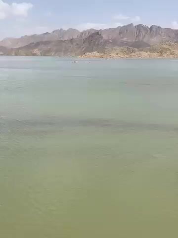 The video opens with a wide shot of a tranquil body of water, possibly a reservoir or a large lake, with rugged, barren mountains dominating the background under a partly cloudy sky. The water in the foreground is a light greenish-brown color with gentle ripples, while further back, it appears calmer.

As the camera pans to the right, a long, concrete dam or weir structure comes into view. Several men, dressed in traditional attire including long shirts and loose trousers, are seen walking across the top of this structure. The top of the dam is flat, allowing them to walk in what appears to be shallow water before the water cascades down the other side.

The water flows continuously over the dam, creating a significant waterfall effect with white foamy splashes at its base. The men are carefully navigating the top of the dam, where the water is still and shallow before it drops. One person on the far end of the dam appears to be holding a dark flag or banner, while another person nearby seems to be taking a photo or video. A partially visible sign with blue and white colors can be seen on the far bank, next to the dam.

The camera then focuses more closely on the cascading water, showing the strong flow and the turbulent, white-capped water below the dam, indicating a substantial volume of water passing through. The scene depicts a functional dam in a mountainous region, with people crossing it on foot.