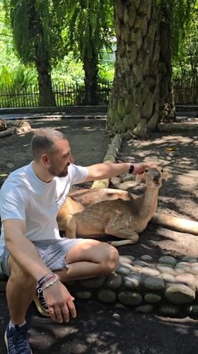 Tourist interacts with deer at wildlife facility in Celuk