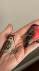 Artist showcases miniature craft collection in Shadrinsk, Russia