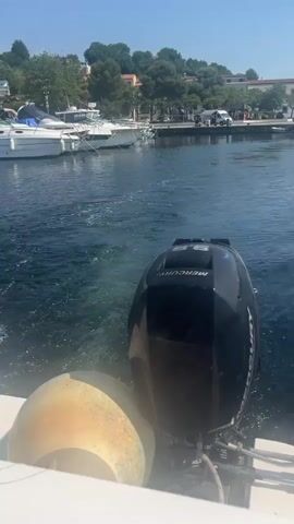 The video captures a picturesque scene from the stern of a boat, likely departing from or maneuvering within the Marina di Casal Velino, Italy, on a bright and sunny day.

In the foreground, a black Mercury outboard engine is prominently featured, partially submerged and actively propelling the boat. White foam and ripples trail behind the engine, indicating movement through the calm, deep blue water. Part of the white stern of the boat the camera is on is visible in the lower corners.

As the camera pans, it reveals the vibrant setting of the marina. Numerous white boats of various sizes are neatly docked along the shore, creating a classic harbor scene. Beyond the boats, the coastline features a line of buildings and houses interspersed with lush green trees, extending up a gentle hillside. The sky overhead is a clear, unblemished blue, suggesting ideal weather conditions.

The activity in the video is the slow navigation of the boat, evidenced by the running engine and the changing perspective. The audio includes the distinct sound of the boat's engine and some muffled speech. The text "MERCURY" is clearly visible on the side of the outboard engine. The overall impression is one of a serene yet active maritime environment under a beautiful Italian sky.