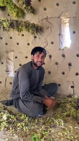A man is kneeling on the floor in a mud-walled room, surrounded by grapes. He is wearing a gray shirt and dark pants. The room has many circular holes in the walls and there are bunches of grapes hanging from the ceiling. The man is holding something yellow in his hands.