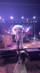 Live concert in Saint-Galmier features elephant costume and full band