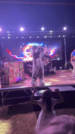 Live concert in Saint-Galmier features elephant costume and full band