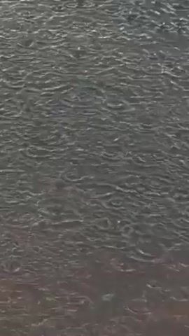 The video shows a close-up of heavy rain falling on a dark, rippling body of water. The water surface is grey and reflects light, creating a shimmering effect. The rain creates small disturbances and splashes on the water's surface.