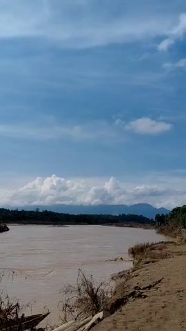 The video depicts a landscape scarred by a recent flood. A wide, muddy river flows through the frame under a bright sky scattered with fluffy white clouds. Debris, including uprooted trees and branches, litters the muddy riverbank. In the distance, lush green hills and mountains form a backdrop. As the camera pans across the scene, damage to vegetation, including trees and palm trees, is visible. In the background, houses are seen that appear to have been affected by the flooding.  Three individuals walk across the sandy terrain toward the camera, one carrying something on their head. The overall scene conveys the aftermath of a natural disaster and the disruption it has caused.