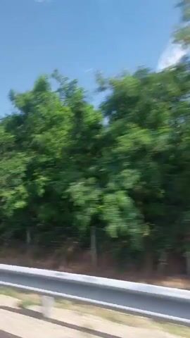 The video shows a blurred view of trees and a blue sky with some clouds, suggesting it was filmed from a moving vehicle. The overall scene is green and natural, with a sense of motion. A grey guardrail is visible in the foreground, indicating the perspective is from a road. There is no discernable text in the video. The time of day appears to be daytime, given the bright sky and the presence of sunlight. The weather seems fair and sunny. The activity taking place is travel, as evidenced by the blurred scenery and the perspective from a vehicle. The location context of Kolarovo, Bulgaria, places this scene within a rural or natural landscape. No people or specific objects are clearly identifiable due to the blur.