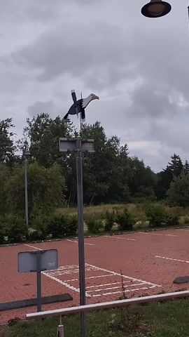 This is a very short video, likely a screen recording or a still frame from a video, that shows a weather vane shaped like a bird on a pole. The bird is black and white with an orange beak and appears to be a seagull. The weather vane is positioned on a pole in what looks like a parking lot. The ground is paved with red bricks. In the background, there are trees and a cloudy sky. There is also a light fixture visible at the top right of the frame.