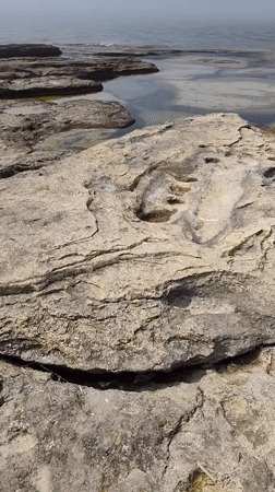 Caspian shoreline rocks and clear shallow water, Kazakhstan