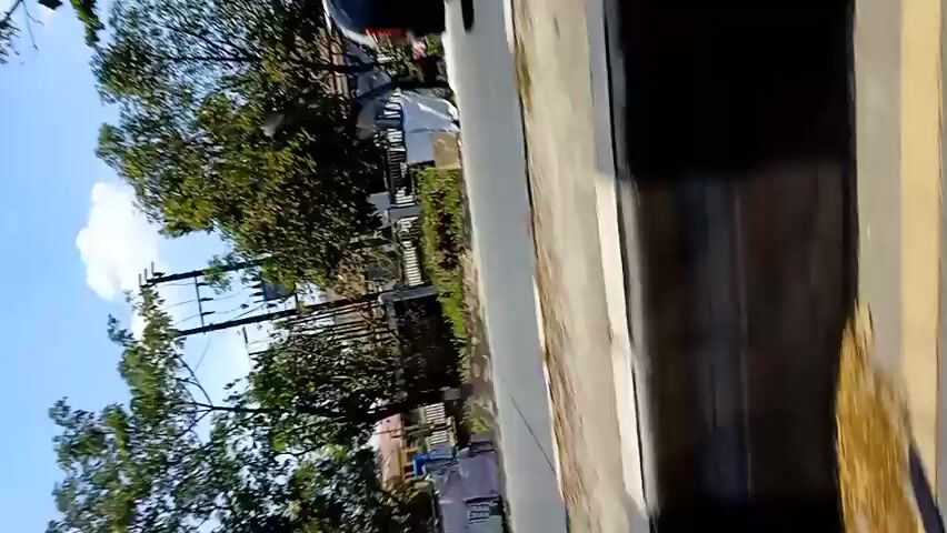 A shaky, vertically oriented video shows a view from inside a vehicle. Outside, trees line a street with houses and other vehicles visible. A yellow car passes by, followed by a white car. The video appears to be shot from a moving vehicle, possibly a bus or train, given the perspective and the passing scenery. The lighting suggests it is daytime.