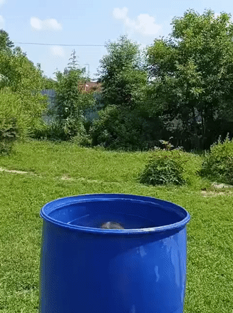 Summer backyard cooling off session captured in Lagovskoe