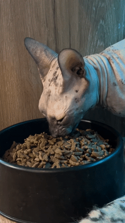 Daily life moments documented across Khimki, Russia