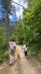 Hikers enjoy forest trails near Blagoevgrad cross monument