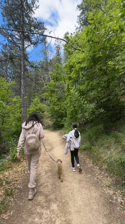Hikers enjoy forest trails near Blagoevgrad cross monument