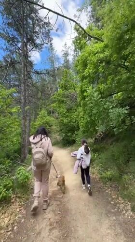 Hikers enjoy forest trails near Blagoevgrad cross monument