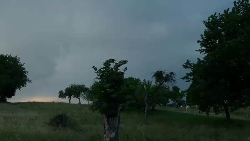 A low-angle shot pans left across a grassy hill dotted with trees against a dark, cloudy sky. The grass is tall and appears wet. On the left side of the frame, a road is visible leading away. A traffic signpost with a red and white circle sign and two other signs below it stands near the road. The trees vary in size and shape, with some appearing to be apple trees due to their gnarled branches. One tree in the foreground has a split trunk. In the distance, the sky shows a faint orange glow, possibly from a setting sun or distant lights. The overall atmosphere is somber and suggests impending rain or a storm.