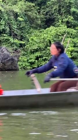 A person is rowing a boat on a body of water. The person is wearing a blue jacket and brown pants. The boat is a long, narrow vessel with oars. The water is calm and reflects the surrounding trees. The trees are lush and green, indicating a natural environment. The scene appears to be tranquil and serene.
