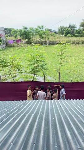 A group of eight young boys, appearing to be between the ages of seven and ten, are gathered in a semi-circle behind a maroon-colored tarp. They are standing on what appears to be a dirt path or clearing. The boys are dressed in casual clothing, with some wearing t-shirts and shorts, and others in more formal shirts. The tarp extends horizontally across the frame, separating the boys from the background. Beyond the tarp is a lush green field, with several small trees scattered throughout. In the distance, there are more trees and a glimpse of a building. The sky is overcast, suggesting a cloudy day. The foreground of the image shows a corrugated metal roof, which is out of focus. The boys are facing each other, some appearing to be talking and gesturing. Their body language suggests they are engaged in a conversation or game. One boy on the far left, wearing a tan shirt, has his left arm raised, as if speaking. Another boy in the center, wearing a light grey t-shirt, is facing away from the camera, and the others are looking towards him and each other. The overall impression is of a casual gathering of children outdoors.