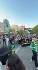 Pro-Palestinian demonstration draws crowd in New York City