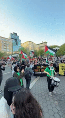 Pro-Palestinian demonstration draws crowd in New York City