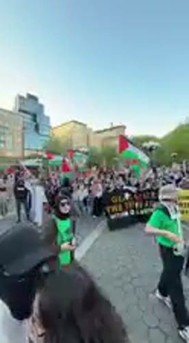 Pro-Palestinian demonstration draws crowd in New York City