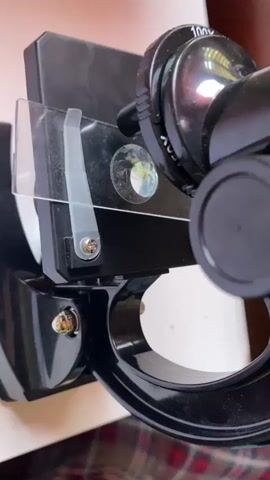 The video shows a close-up view of a microscope. The microscope is black and has a 100x magnification setting visible on the objective lens. A slide with a circular specimen is placed under the objective lens, and a transparent plastic shield is positioned over the slide. The video then zooms into the eyepiece of the microscope, revealing a blurry view of the specimen, which appears to be illuminated from below. The colors and shapes are indistinct, suggesting a magnified view of a biological or material sample.