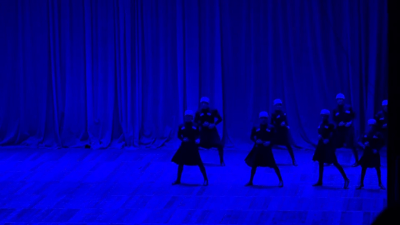 Traditional dance performances captured during cultural event in Tbilisi