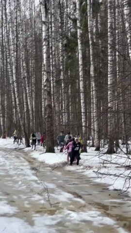 Several people are walking through a partly frozen area in a forest of thin, tall, white birch trees. Some of the runners are wearing athletic gear and one is wearing a yellow costume. There is snow on the ground and frozen pools of water. Some fallen branches and debris are on the ground. A person can be heard laughing at the end of the clip.