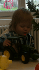 Domestic scenes documented in Erba: child playing, kitchen prep, flowers