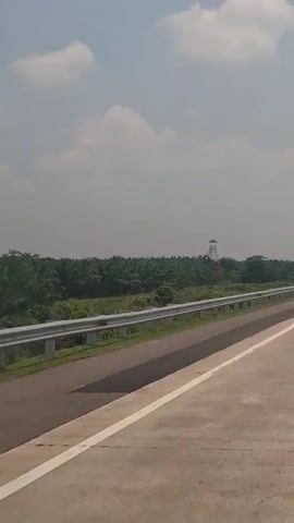 The video shows a road with a guardrail on the left side, a plantation of palm trees in the background, and a tower in the distance. A blue sign is visible on the right side of the road, indicating speed limits. The sky is cloudy. The video appears to be filmed from a moving vehicle on the road.