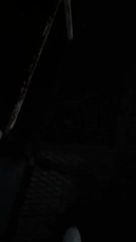 The video begins with a dark close-up of a stick-like object. It then transitions to a dimly lit scene of a body of water with trees and fog in the background. A glowing orb, possibly the moon or a light source, is visible through the fog. The scene is dark and appears to be outdoors at night or during twilight.