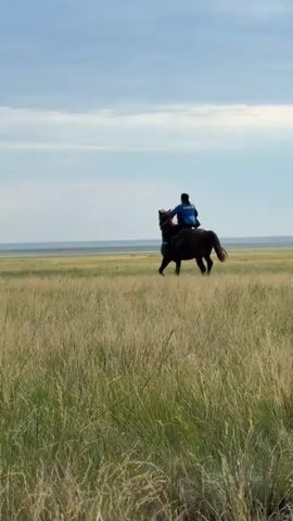 A person rides a dark horse through a vast, grassy field under a partly cloudy sky. The rider, wearing a blue jacket, faces away from the camera, controlling the horse with reins. The horse appears to be moving at a trot or canter, its mane and tail flowing with its movement.

The setting is a wide-open steppe, characterized by tall, dry grasses that dominate the foreground and mid-ground. In the distance, a flat horizon suggests a large body of water or a plain, with a faint line of land visible across it. The sky is a soft blue with scattered white clouds, indicating fair weather. The overall mood is peaceful and serene, evoking a sense of freedom and connection with nature. The time of day appears to be daytime, likely late afternoon or early evening, given the soft light and cloud formations.

The image is a still frame from a video, as indicated by the timestamps. There is no visible text in the frame. The location is identified as Өндіріс, Kazakhstan.