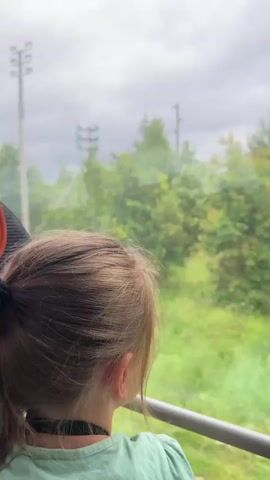 A child with blonde hair pulled into a ponytail, wearing a light green shirt, looks out a window. The view outside consists of trees and a cloudy sky. A utility pole with wires is visible in the background. The camera is positioned behind the child, focusing on their head and the passing scenery.
