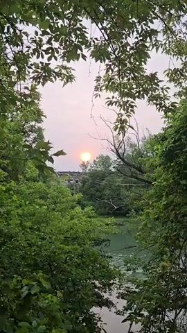 The video shows a body of water surrounded by trees. The sun is visible in the sky, casting a warm glow. There are some power lines and a building in the background. The video appears to be taken from a distance, possibly from across the water.