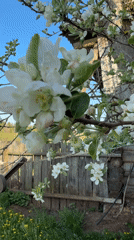Spring farming activities documented in rural Rysai, Russia