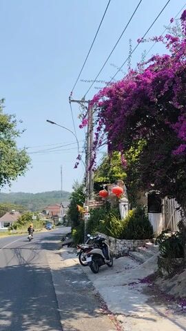 The camera pans to the left, revealing a rural neighborhood on a bright, sunny day. The camera is stationary, positioned on a sidewalk next to a road. Two scooters are parked on the sidewalk, and overhead power lines are visible along with a street light and a cell phone tower. In the distance, houses and rolling hills covered with trees can be seen. A person riding a motorcycle can be seen traveling down the road away from the camera. A sign is visible next to the parked scooters. The landscape is predominantly green, and the sky is a clear, pale blue.