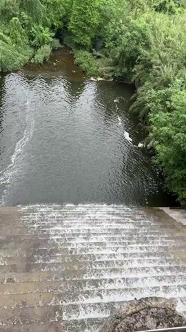 The video shows a view from the top of a concrete stepped waterfall. The water flows down the steps into a dark pond surrounded by dense green vegetation. Beyond the trees, electrical power lines are visible stretching across the horizon towards a distant skyline. The sky is overcast. No people are visible.