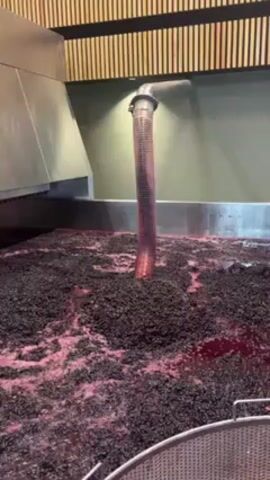 The video shows a large stainless-steel vat filled with crushed purple grapes and juice. A flexible, corrugated hose is submerged in the grape mixture, attached to a metal pipe above. The background features a wall with vertical wood slats and a green section.