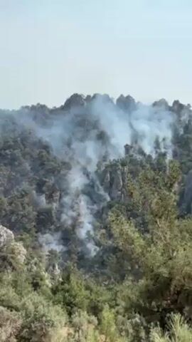 The video shows smoke rising from a forest on a rocky hillside. The smoke appears to be concentrated in patches among the trees. The sky is clear and light.