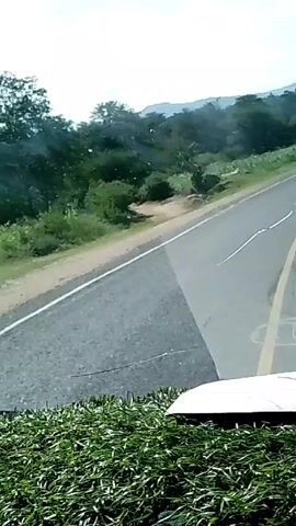 The video appears to be taken from inside a vehicle, likely a car or truck, driving on a rural road. The road is asphalt with a yellow center line and white lines on the sides. It seems to be in relatively poor condition, with cracks and repairs visible. The surrounding environment includes green vegetation, trees, and what may be agricultural fields. The sky is visible and appears bright. The camera angle is low, looking out over the dashboard of the vehicle, with a portion of the vehicle's hood visible in the lower part of the frame. No people are clearly visible.