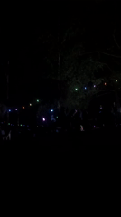 Nighttime flow arts session lights up a wooded Bulgarian gathering