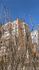Woman documents spring morning with coffee and birdwatching in Tyumen