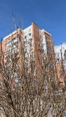 Woman documents spring morning with coffee and birdwatching in Tyumen