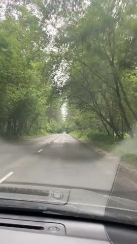 A car is driving on a wet, paved road through a forest. The road is lined with tall green trees, and the sky appears overcast. The view is from inside the car, looking out through the windshield.