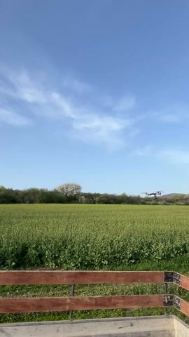 The video shows a drone flying in the distance above a green field under a blue sky with scattered clouds. The field has tall green plants. A line of green trees and bushes is on the horizon, with a white tree standing out. The foreground features a wooden fence. The drone is the primary moving object, ascending and moving slightly.