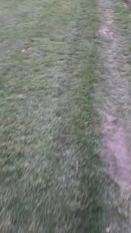 The video shows a walk along the edge of a grass soccer field. The edge of the field is worn with patches of dirt, but the grass itself is green. In the distance, there is a building and bleachers with yellow advertising. There are also mountains in the far background, and the sky is light.  The video is a first-person perspective, moving forward at a walking pace.