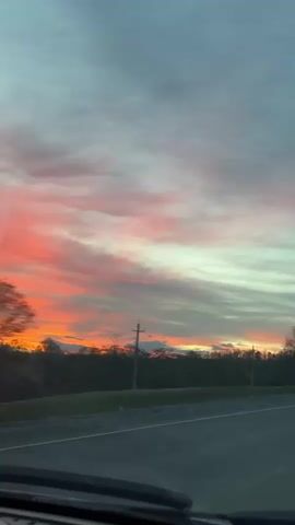 The video shows a view from inside a vehicle moving on a road. The primary focus is the sky, which exhibits a vibrant sunset with streaks of orange and pink clouds blending into a grey-blue expanse above. The horizon is marked by a line of dark trees and a few utility poles. As the vehicle moves forward, the scenery shifts to reveal more trees lining the roadside, their branches bare, contrasting with the colorful sky. The road itself is visible in the foreground, with white lines marking the lanes.